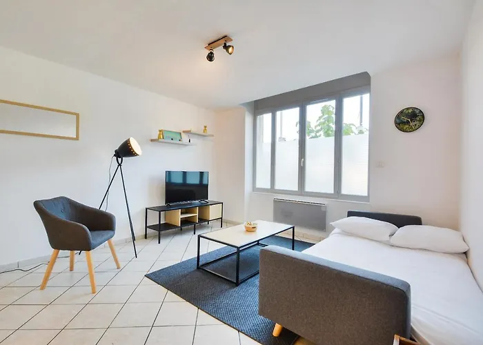 Les Cosy De Nancy La tanière de la porte verte 4étoiles